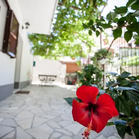 Mladen Apartment
